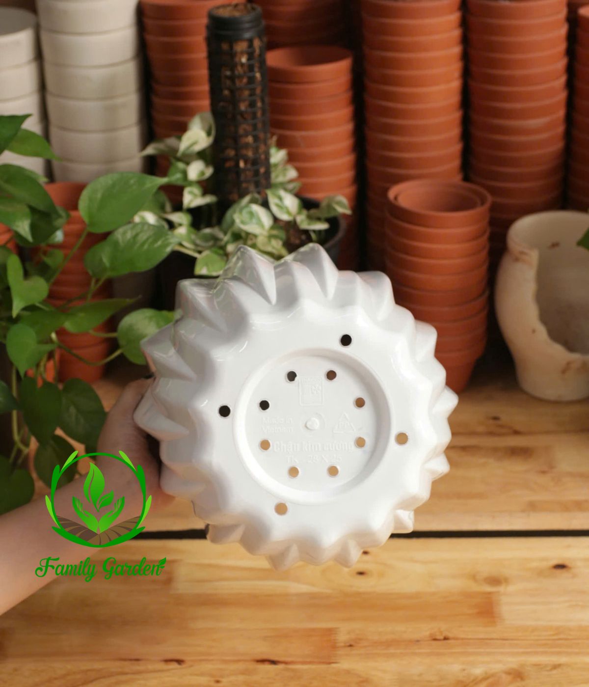 Ảnh chụp đáy chậu nhựa kim cương Thakico - Trắng - Size 25x22cm | Độc quyền Family Garden