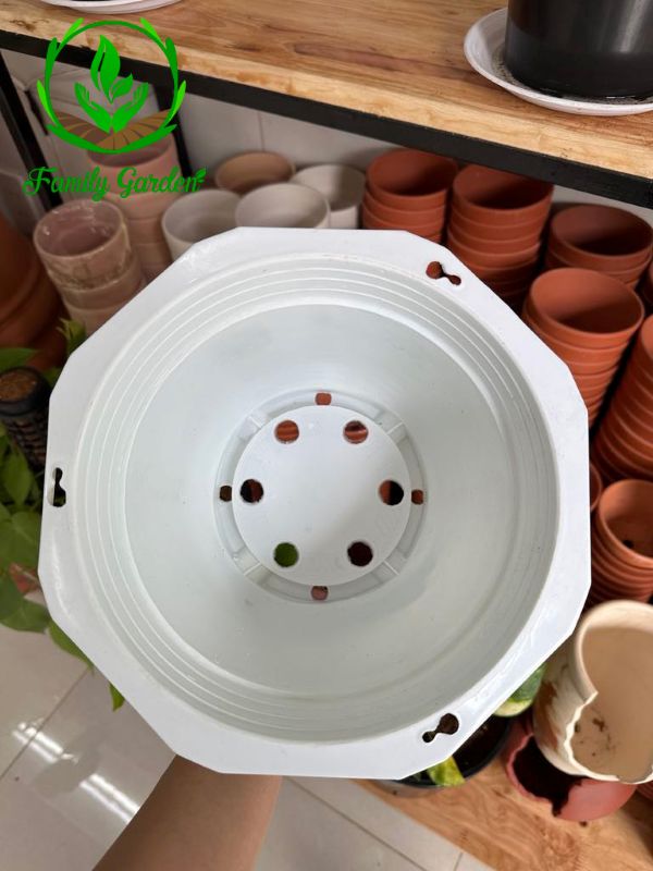 Ảnh chụp lòng chậu nhựa treo bát giác Thakico - Trắng - Size thông dụng 23x15cm