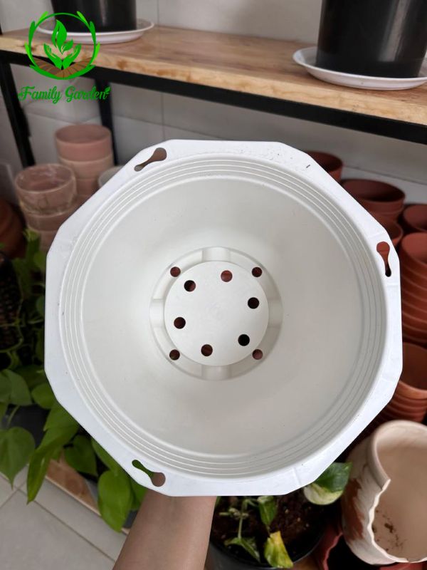 Ảnh chụp lòng chậu nhựa treo bát giác Thakico - Trắng - Size thông dụng 21x15cm